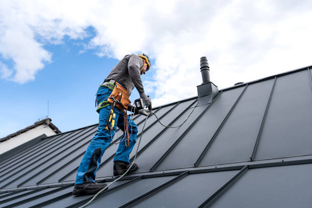 Best Sheet Metal Roofing  in Brookhaven, PA